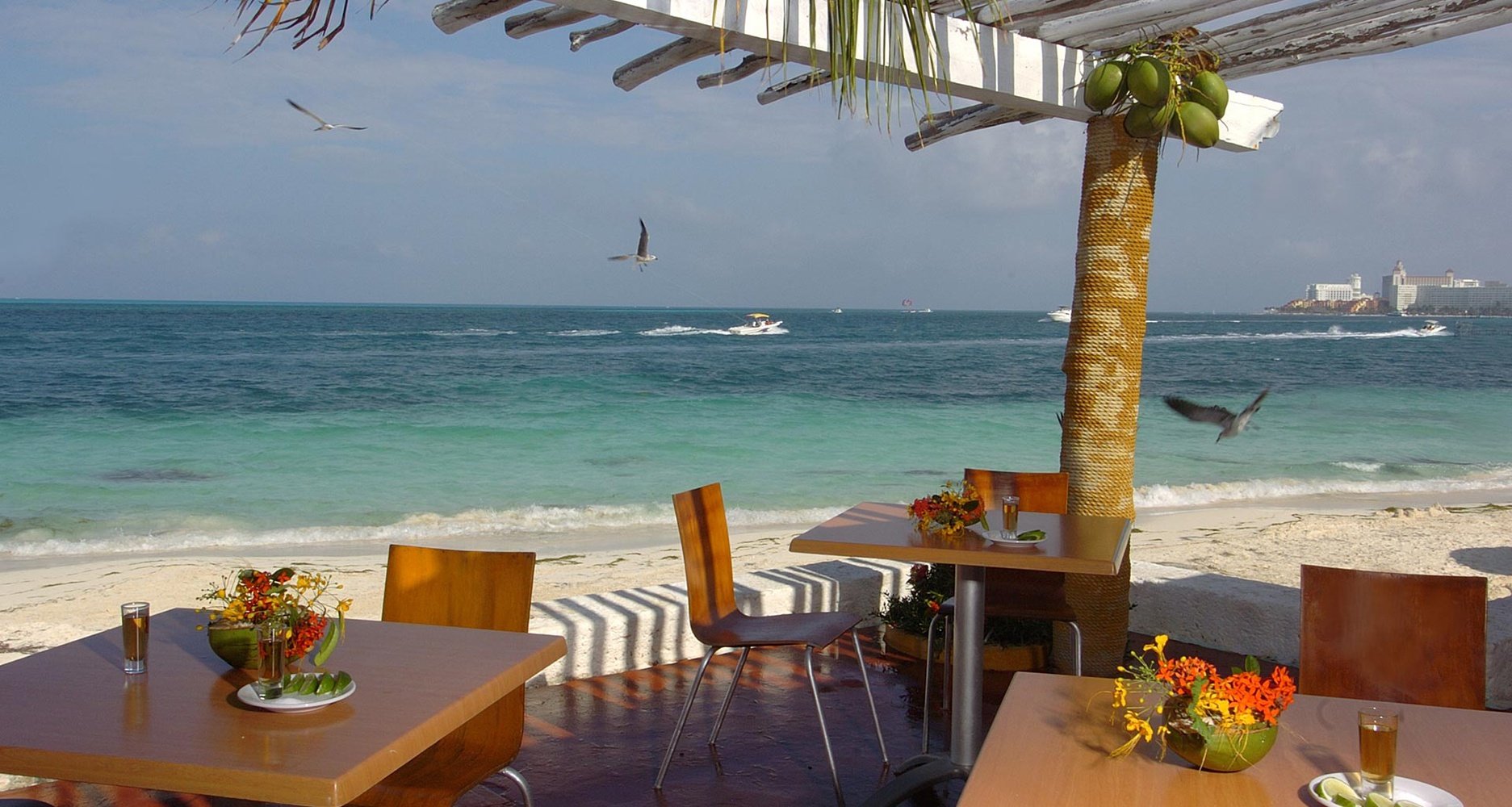 Days of tranquility in the  mexican caribbean  Hotel Faranda Maya Caribe Cancún Cancun