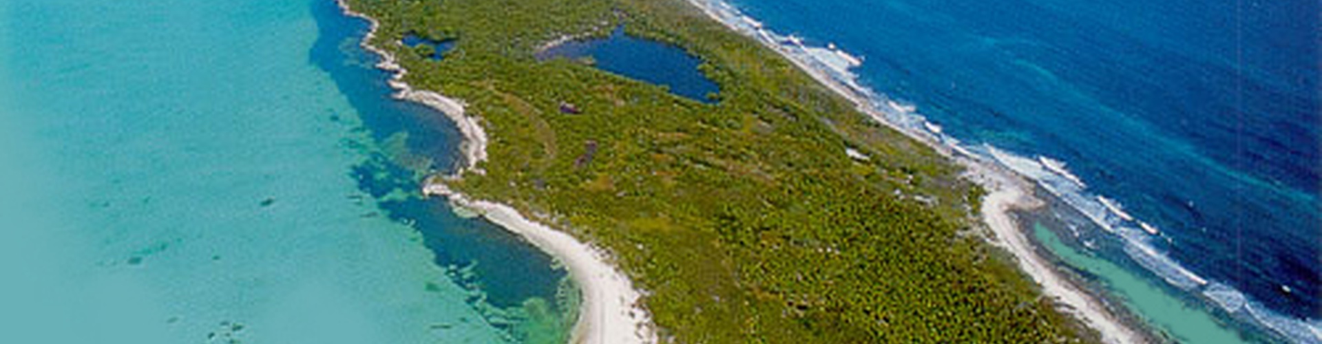 Faranda Maya Caribe Cancún Rediseño - Cancun - Do you know the 5 Islands of Quintana Roo? Part 4 Contoy Island Faranda Maya Caribe Cancún Rediseño - Cancun - Do you know the 5 Islands of Quintana Roo? Part 4 Contoy Island